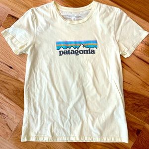 Patagonia Organic Cotton Tshirt